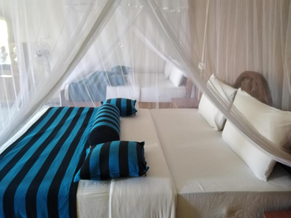 Blue Ribbon Homestay Ella Ngoại thất bức ảnh